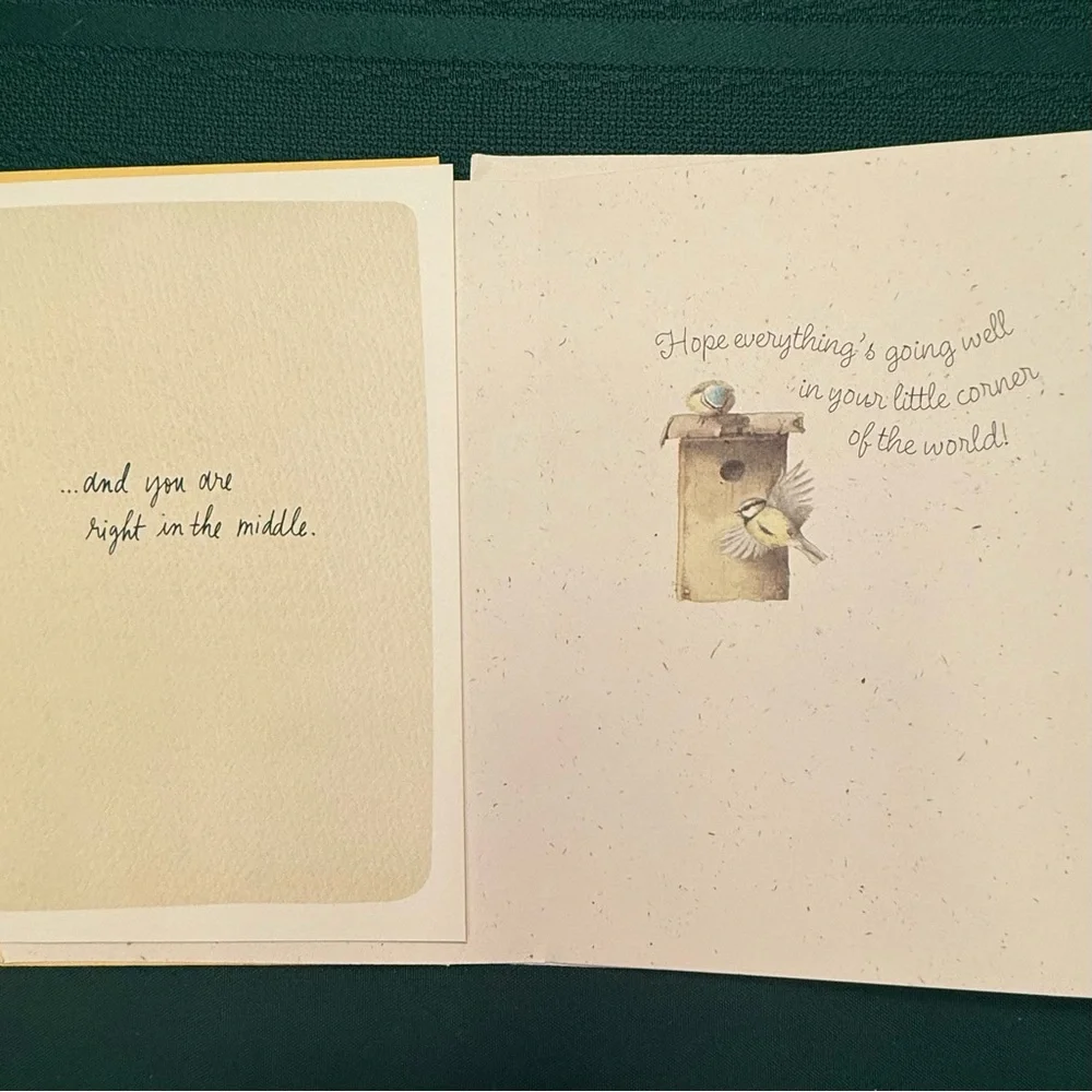 Hallmark Assorted 12 Greeting Cards and Envelopes Set #3